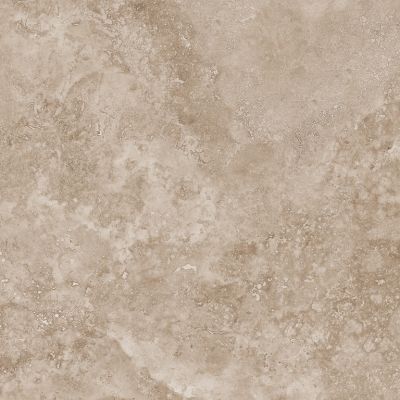 Mystical Charm Camel Relief Matt 60x60