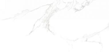 N10002 Statuario Bianco Matt 60x120