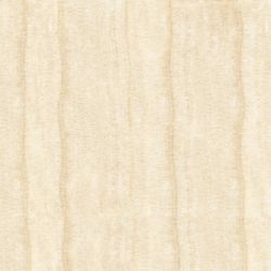 N8558 T LAMIA NANO POLISHED 60*60