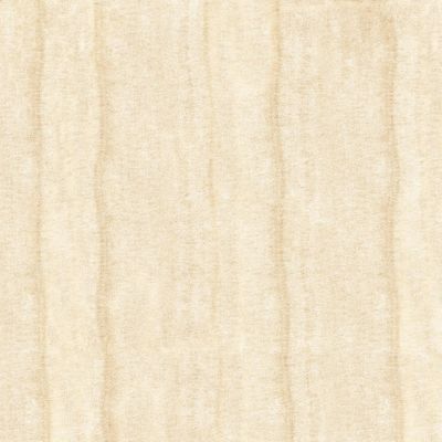 N8558 T LAMIA NANO POLISHED 60*60