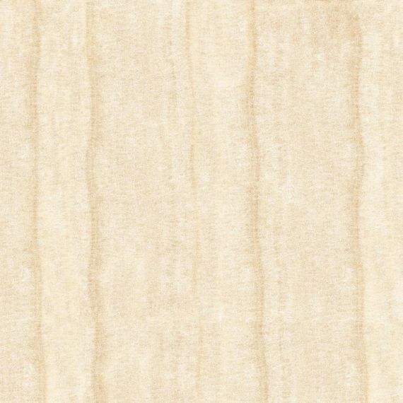 N8558 T LAMIA NANO POLISHED 60*60