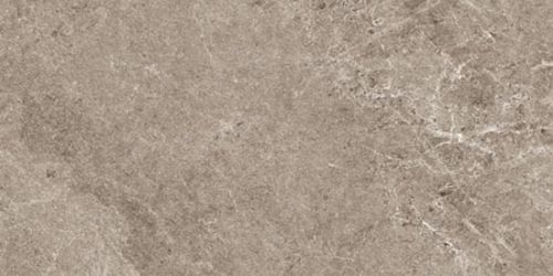 NATURAL GREIGE 50x100