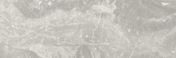 NEBULA R90 SILVER 30*90