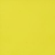 NEUTRAL LIME NATURAL 29.75х29.75