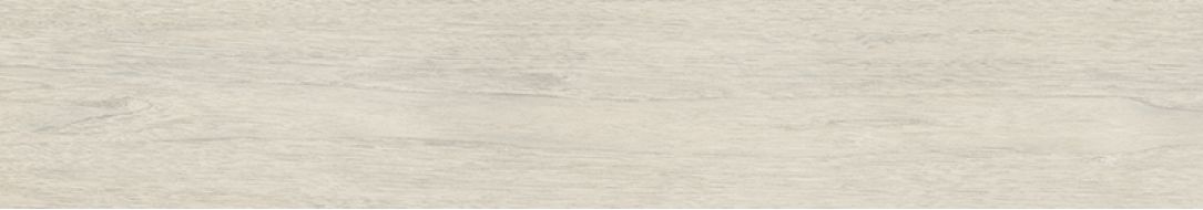 NEWTRON WHITE RECTIFICADO 20х114