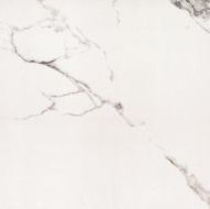 NOLA White Glossy 60x60