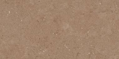 NP03 Newport неполированный 30.6x60.9x0.8