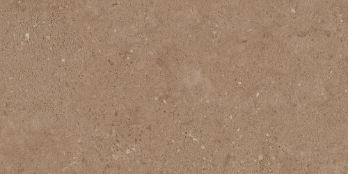 NP03 Newport неполированный 30.6x60.9x0.8