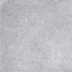 NR121 Керамогранит Nemo Light Grey 60x60