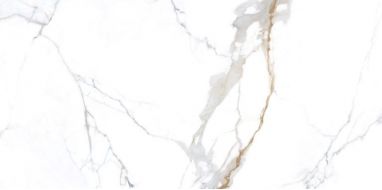 NTT3001P Carrara Gold 120x240