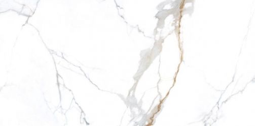 NTT3001P Carrara Gold 120x240