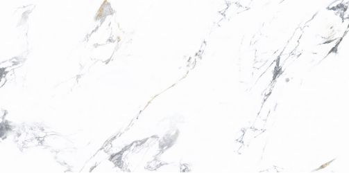 NTT3003P Arabescato 120x240