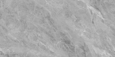 NTT3007P Breccia Light Grey 120x240