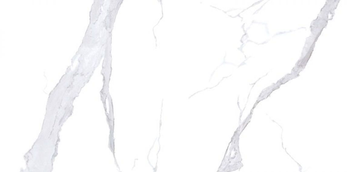 NTT3008P Bianco Statuario 120x240