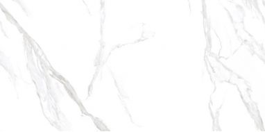 NTT3009M Statuario Mat 120x240