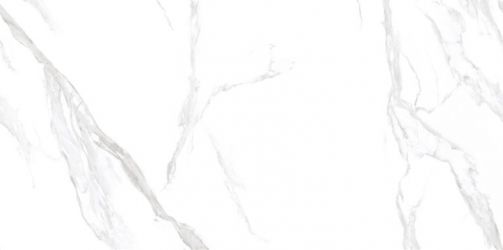 NTT3009M Statuario Mat 120x240