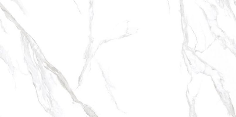 NTT3009M Statuario Mat 120x240