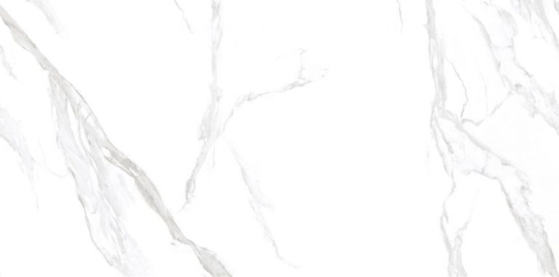 NTT3009M Statuario Mat 120x240