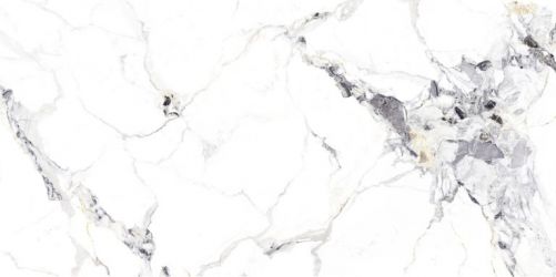 NTT3310P Breccia Bianco 120x240