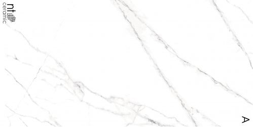 NTT3506L Керамогранит Calacatta Light 120x270