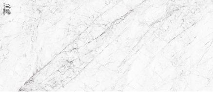 NTT3602C Керамогранит Carrara Elite 120x280