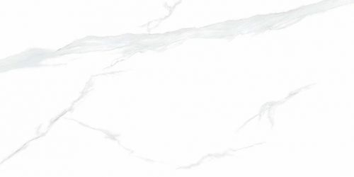 NTT9106P Statuario 60x120