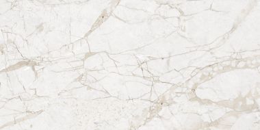 NTT99519M Impero Grey Carving 60x120
