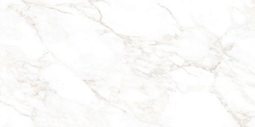 NTT99526M Керамогранит Marble Extra Endless 60x120