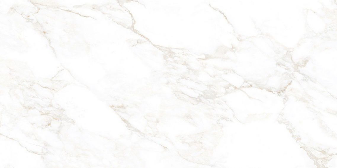 NTT99526M Керамогранит Marble Extra Endless 60x120