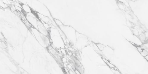 NTT99528P Керамогранит Artic statuario Glossy 60x120