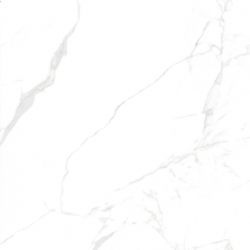NTT996070M Callacata Carving 60x60