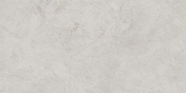 NTT99612L Керамогранит Granite Obelisk Ash 60x120