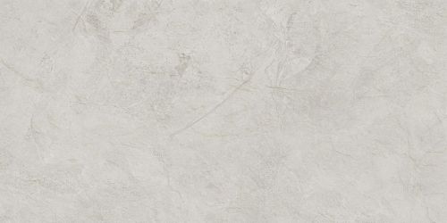 NTT99612L Керамогранит Granite Obelisk Ash 60x120