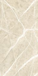 NTT99619PC Керамогранит Granite Wisdom Stone Punch Carving 60x120