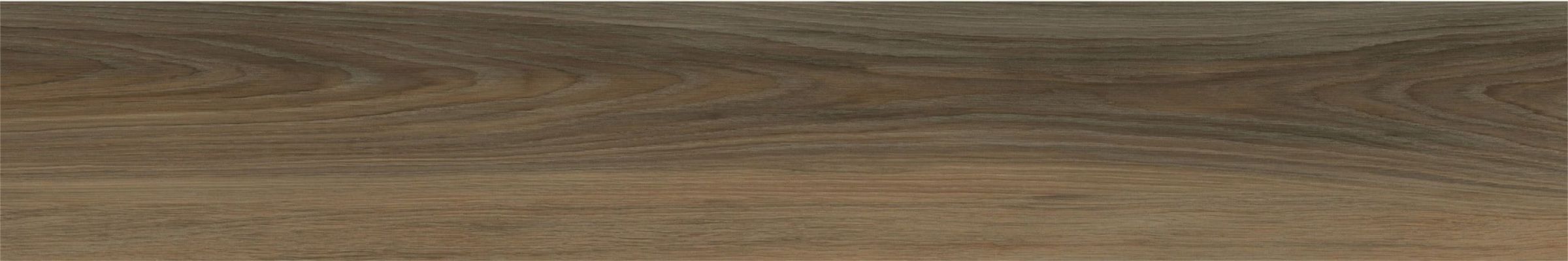 NTW2 Natural Wild 19.7x120