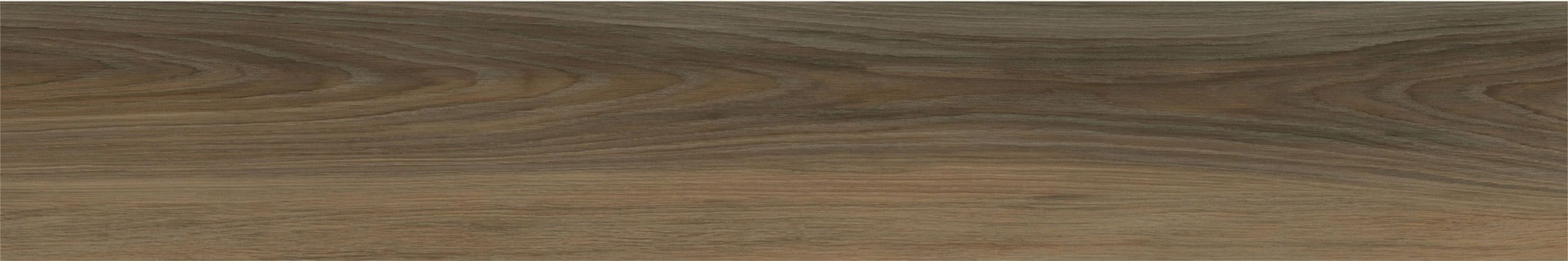 NTW2 Natural Wild 19.7x120