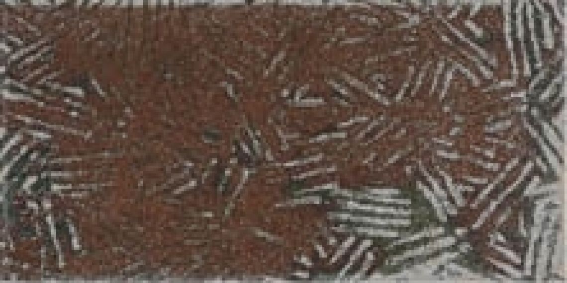 NUNZIA A 11,2x22,4
