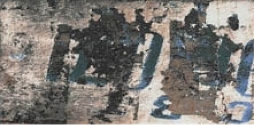 NUNZIA B 11,2x22,4