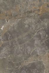 Naff Steel Grey High gloss 60x120