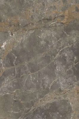 Naff Steel Grey High gloss 60x120