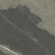 Naoki Natural 120x120