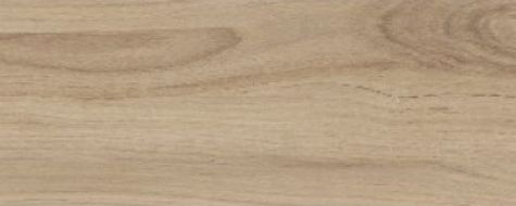 Narni Beige 20x50