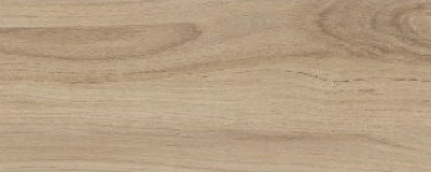 Narni Beige 20x50
