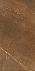 Nature Pulpis Brown 60x120