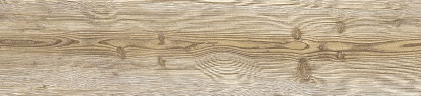 Neila Maple Natural 24.9x100