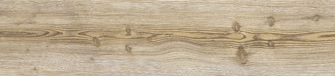 Neila Maple Natural 24.9x100