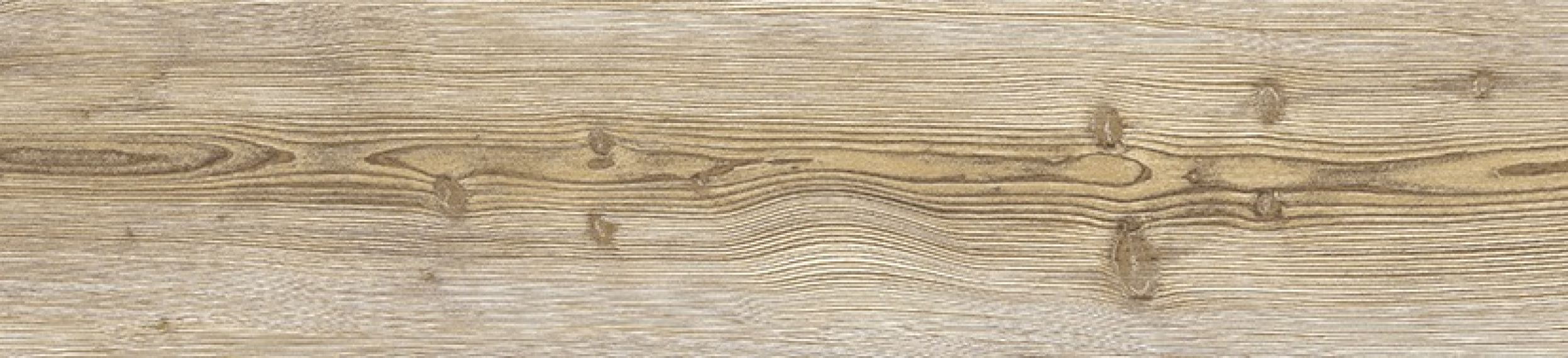 Neila Maple Natural 24.9x100