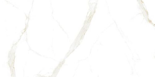 Neo calacata gold Full lap 60x120