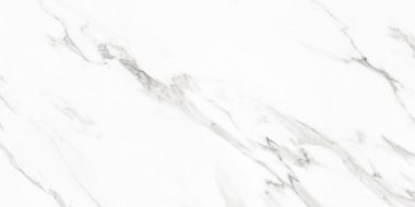 Neptune White PGVT 60x120