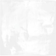 New Garden White 15х15